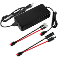 Vterun 20A 鋰電池二合一充電器