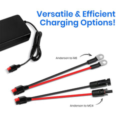 Vterun 20A 鋰電池二合一充電器